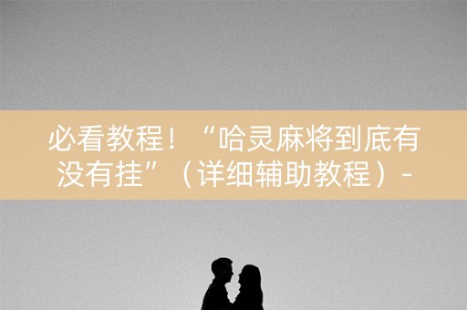 必看教程！“哈灵麻将到底有没有挂”（详细辅助教程）-哔哩哔哩