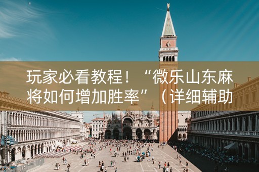 玩家必看教程！“微乐山东麻将如何增加胜率”（详细辅助教程）-哔哩哔哩