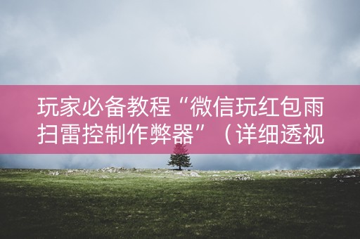 玩家必备教程“微信玩红包雨扫雷控制作弊器”（详细透视教程）-哔哩哔哩