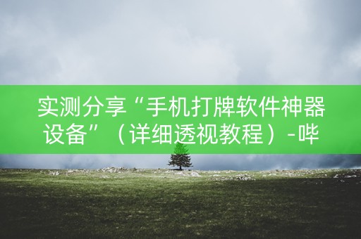 实测分享“手机打牌软件神器设备”（详细透视教程）-哔哩哔哩