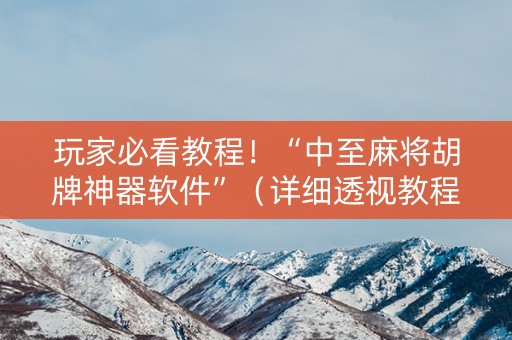 玩家必看教程！“中至麻将胡牌神器软件”（详细透视教程）-哔哩哔哩