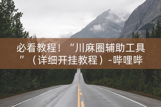 必看教程！“川麻圈辅助工具”（详细开挂教程）-哔哩哔哩