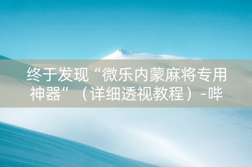 终于发现“微乐内蒙麻将专用神器”（详细透视教程）-哔哩哔哩