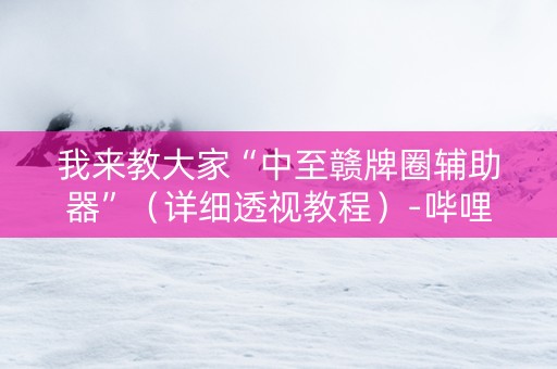 我来教大家“中至赣牌圈辅助器”（详细透视教程）-哔哩哔哩