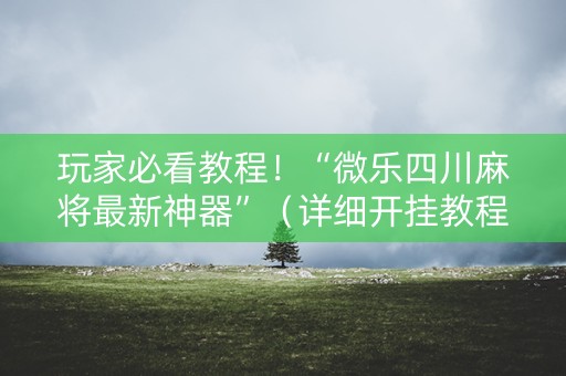 玩家必看教程！“微乐四川麻将最新神器”（详细开挂教程）-哔哩哔哩