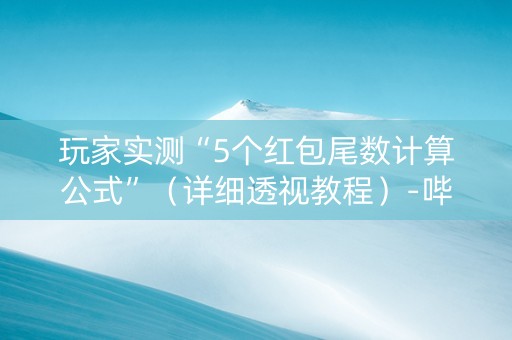 玩家实测“5个红包尾数计算公式”（详细透视教程）-哔哩哔哩