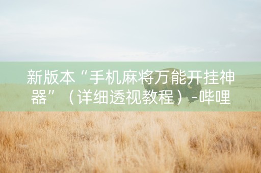 新版本“手机麻将万能开挂神器”（详细透视教程）-哔哩哔哩