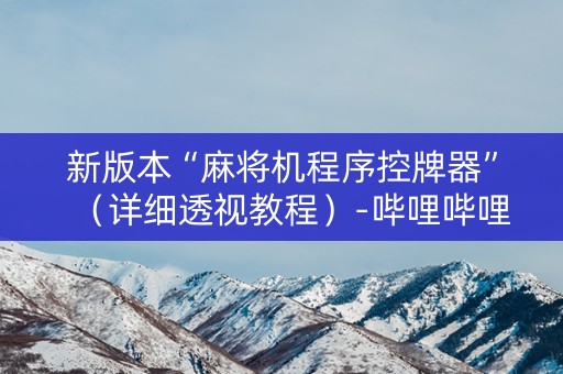 新版本“麻将机程序控牌器”（详细透视教程）-哔哩哔哩