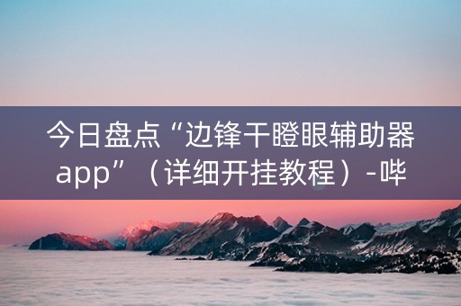 今日盘点“边锋干瞪眼辅助器app”（详细开挂教程）-哔哩哔哩