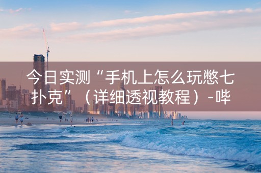 今日实测“手机上怎么玩憋七扑克”（详细透视教程）-哔哩哔哩