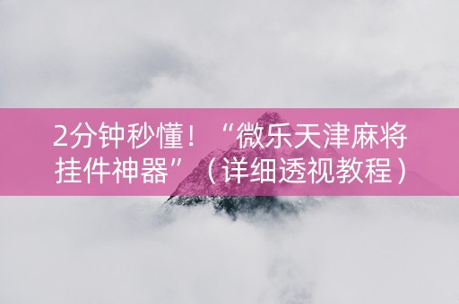 2分钟秒懂！“微乐天津麻将挂件神器”（详细透视教程）-哔哩哔哩
