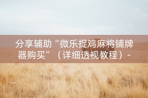 分享辅助“微乐捉鸡麻将铺牌器购买”（详细透视教程）-哔哩哔哩