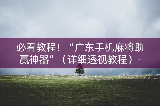 必看教程！“广东手机麻将助赢神器”（详细透视教程）-哔哩哔哩
