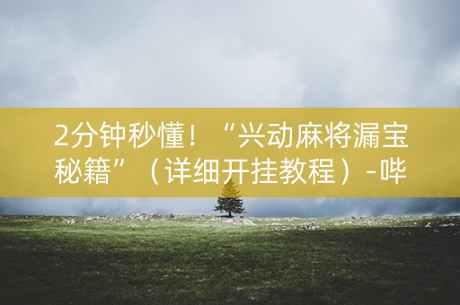 2分钟秒懂！“兴动麻将漏宝秘籍”（详细开挂教程）-哔哩哔哩