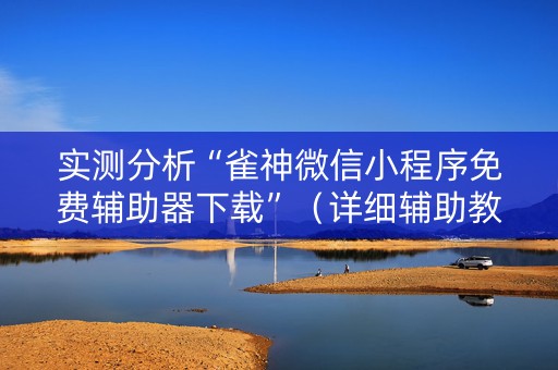 实测分析“雀神微信小程序免费辅助器下载”（详细辅助教程）-哔哩哔哩