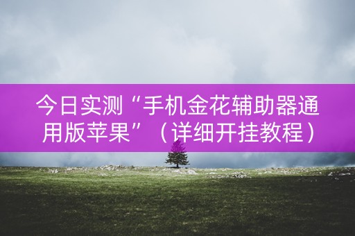 今日实测“手机金花辅助器通用版苹果”（详细开挂教程）-哔哩哔哩