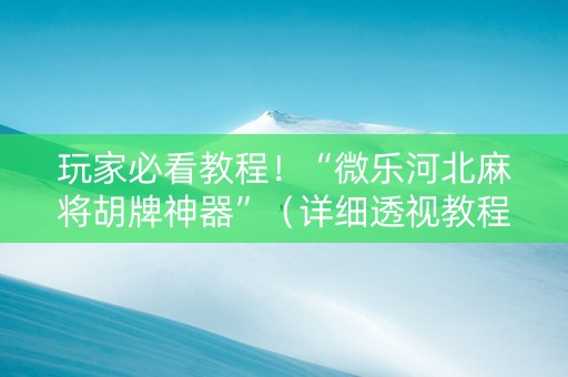 玩家必看教程！“微乐河北麻将胡牌神器”（详细透视教程）-哔哩哔哩