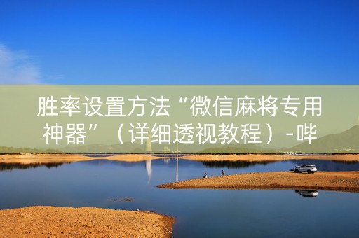 胜率设置方法“微信麻将专用神器”（详细透视教程）-哔哩哔哩