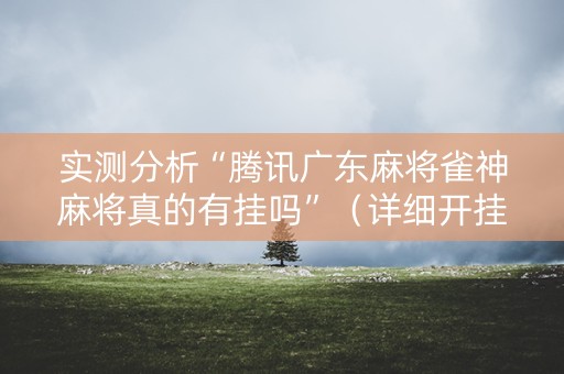 实测分析“腾讯广东麻将雀神麻将真的有挂吗”（详细开挂教程）-哔哩哔哩