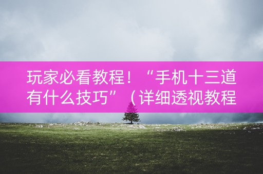 玩家必看教程！“手机十三道有什么技巧”（详细透视教程）-哔哩哔哩