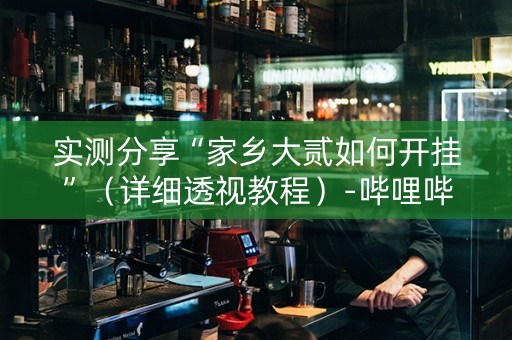 实测分享“家乡大贰如何开挂”（详细透视教程）-哔哩哔哩
