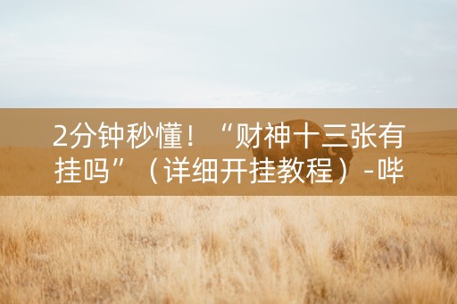 2分钟秒懂！“财神十三张有挂吗”（详细开挂教程）-哔哩哔哩
