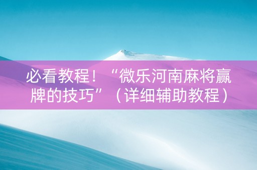 必看教程！“微乐河南麻将赢牌的技巧”（详细辅助教程）-哔哩哔哩