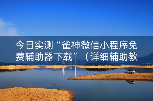 今日实测“雀神微信小程序免费辅助器下载”（详细辅助教程）-哔哩哔哩