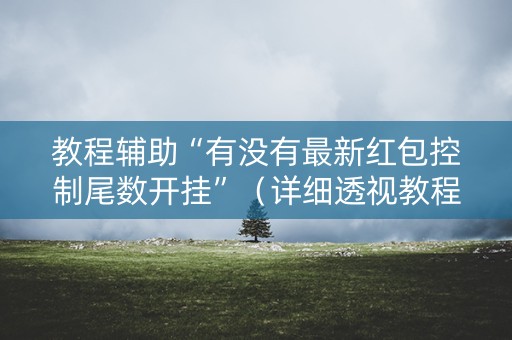 教程辅助“有没有最新红包控制尾数开挂”（详细透视教程）-哔哩哔哩