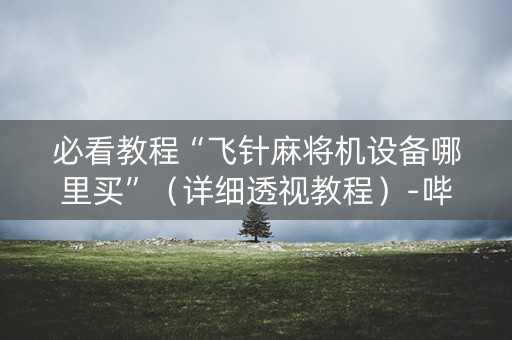 必看教程“飞针麻将机设备哪里买”（详细透视教程）-哔哩哔哩