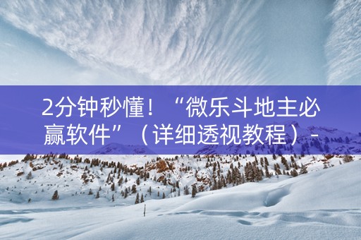 2分钟秒懂！“微乐斗地主必赢软件”（详细透视教程）-哔哩哔哩