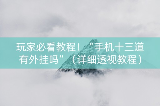 玩家必看教程！“手机十三道有外挂吗”（详细透视教程）-哔哩哔哩