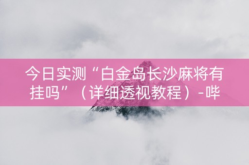 今日实测“白金岛长沙麻将有挂吗”（详细透视教程）-哔哩哔哩