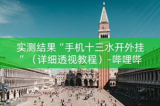 实测结果“手机十三水开外挂”（详细透视教程）-哔哩哔哩