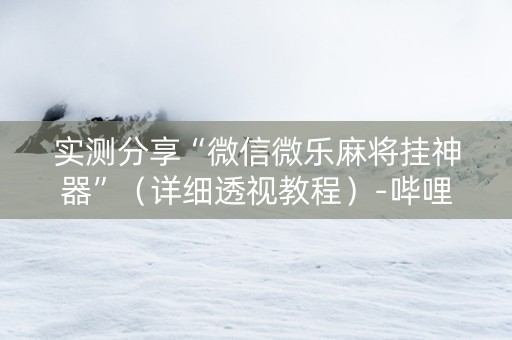实测分享“微信微乐麻将挂神器”（详细透视教程）-哔哩哔哩