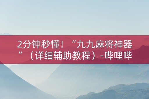 2分钟秒懂！“九九麻将神器”（详细辅助教程）-哔哩哔哩