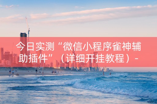 今日实测“微信小程序雀神辅助插件”（详细开挂教程）-哔哩哔哩