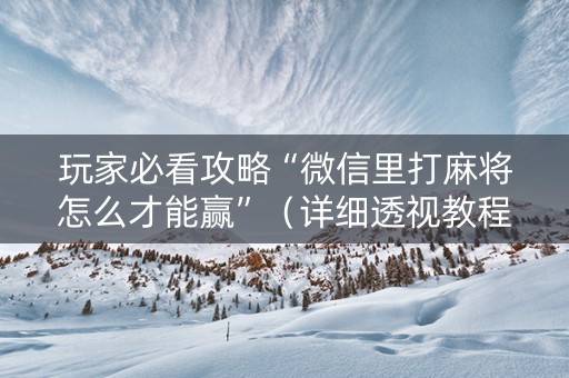玩家必看攻略“微信里打麻将怎么才能赢”（详细透视教程）-哔哩哔哩