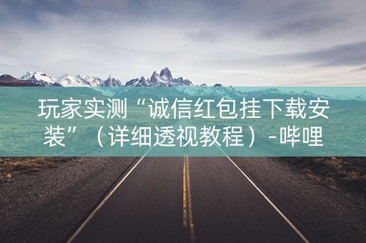 玩家实测“诚信红包挂下载安装”（详细透视教程）-哔哩哔哩