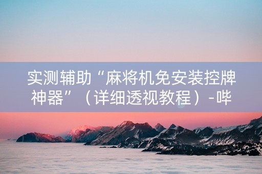 实测辅助“麻将机免安装控牌神器”（详细透视教程）-哔哩哔哩