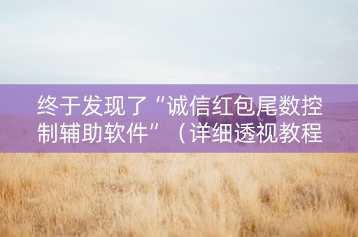 终于发现了“诚信红包尾数控制辅助软件”（详细透视教程）-哔哩哔哩