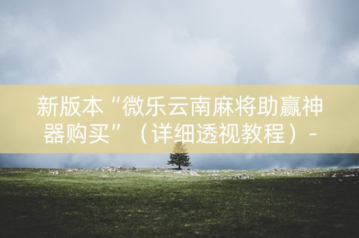 新版本“微乐云南麻将助赢神器购买”（详细透视教程）-哔哩哔哩