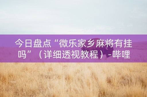 今日盘点“微乐家乡麻将有挂吗”（详细透视教程）-哔哩哔哩