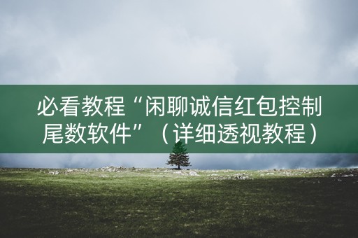 必看教程“闲聊诚信红包控制尾数软件”（详细透视教程）-哔哩哔哩