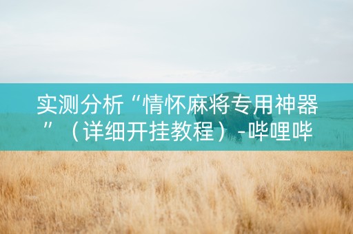 实测分析“情怀麻将专用神器”（详细开挂教程）-哔哩哔哩