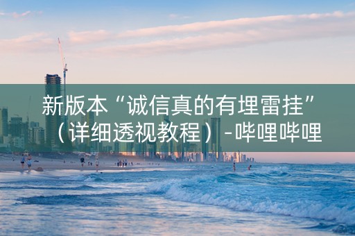 新版本“诚信真的有埋雷挂”（详细透视教程）-哔哩哔哩