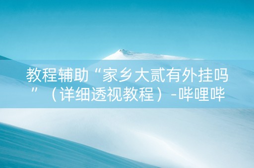 教程辅助“家乡大贰有外挂吗”（详细透视教程）-哔哩哔哩
