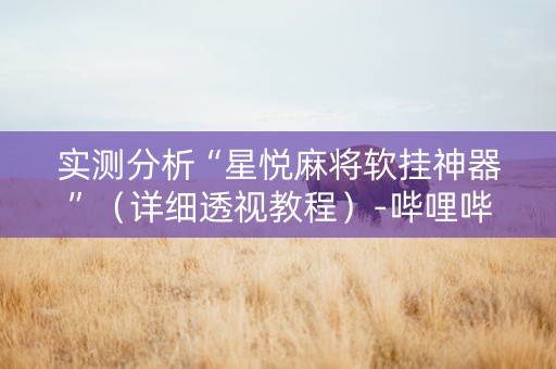实测分析“星悦麻将软挂神器”（详细透视教程）-哔哩哔哩