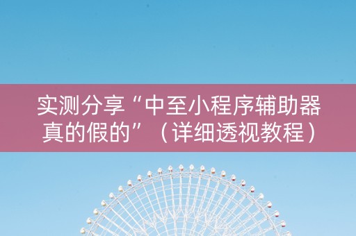 实测分享“中至小程序辅助器真的假的”（详细透视教程）-哔哩哔哩