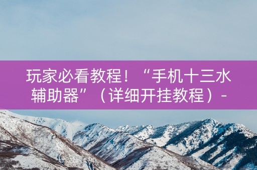 玩家必看教程！“手机十三水辅助器”（详细开挂教程）-哔哩哔哩